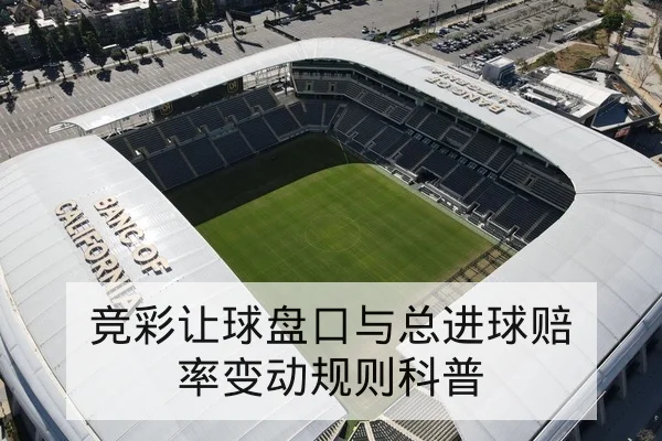 CBA季后赛伤病名单与复出时间动态